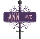 purple pink street sign ann AVE