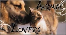 STOP ANIMAL ABUSE