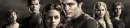 Twilight Divider