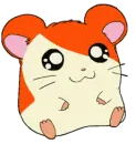 Hamtaro
