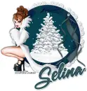 SELINA Let It Snow RV
