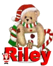 Christmas Bear Riley