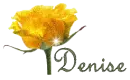 Yellow Rose