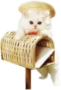 mail box