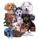 puppies
