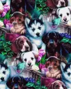 puppies