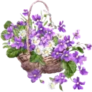 purple