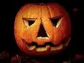 halloween!