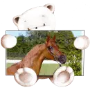 koÅ„, konik