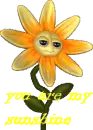 sunshine