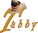 Tabby 