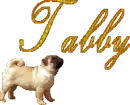 Tabby