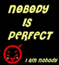 Nobody is perfect...I am nobody