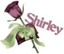 Shirley
