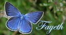 FAYETH