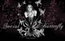 Social Butterfly