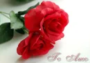 TE AMO