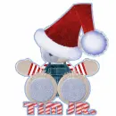 Bear with Tim Jr. name
