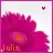 Julia flower