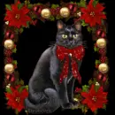 Christmas Cat