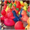 pÃªche aux canards