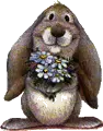 rabbit flowers