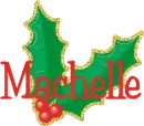 Machelle