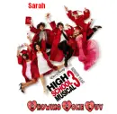 hsm 3
