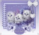 Cute Kittens Tag - Dreamkitty