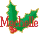 Machelle