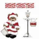Xmas bear with pole with Selina name 2