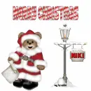 Xmas bear with pole with Niki name