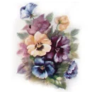 Pansy Thank You