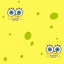 sponge