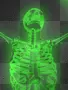 skeliton