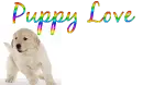 puppy love