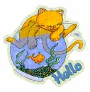Hello~Cat