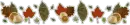 NOV