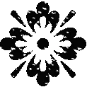 black snowflake