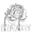 tracy grey rosa