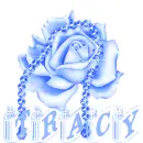 tracy blue rosa