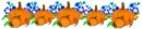 pumkins with blue flowers