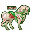 Horse with Selina name