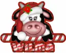 Xmas cow with Wilma name