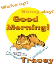 Good Morning- Tracey