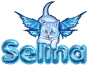 Angel cat- Selina