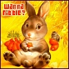 bunny