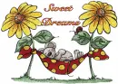 Sweet Dreams