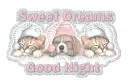 Sweet Dreams~
