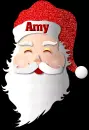 Santa-Amy